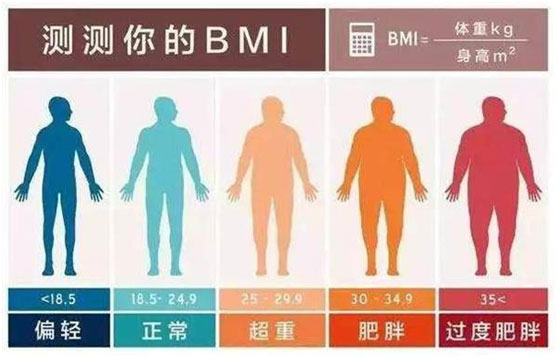 肥胖的標(biāo)準(zhǔn)劃分